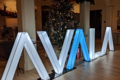 Avala Holiday Party 2019