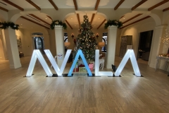 Avala Holiday Party 2019