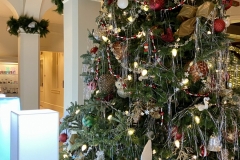 Avala Holiday Party 2019