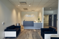 Avala Hospital - Patient Lobby
