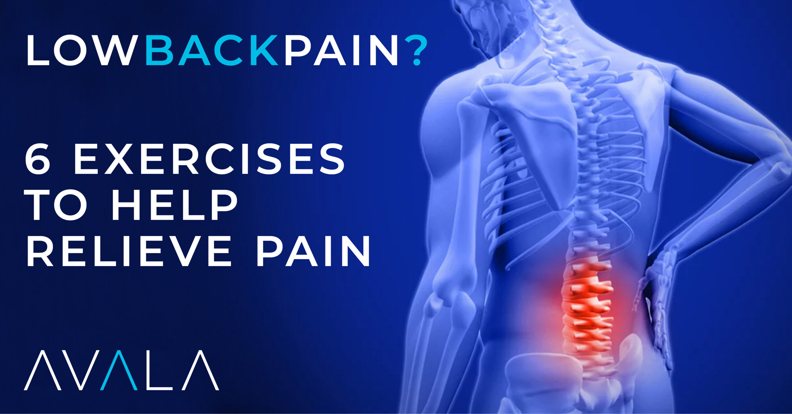 An Overview of Lower Back Pain