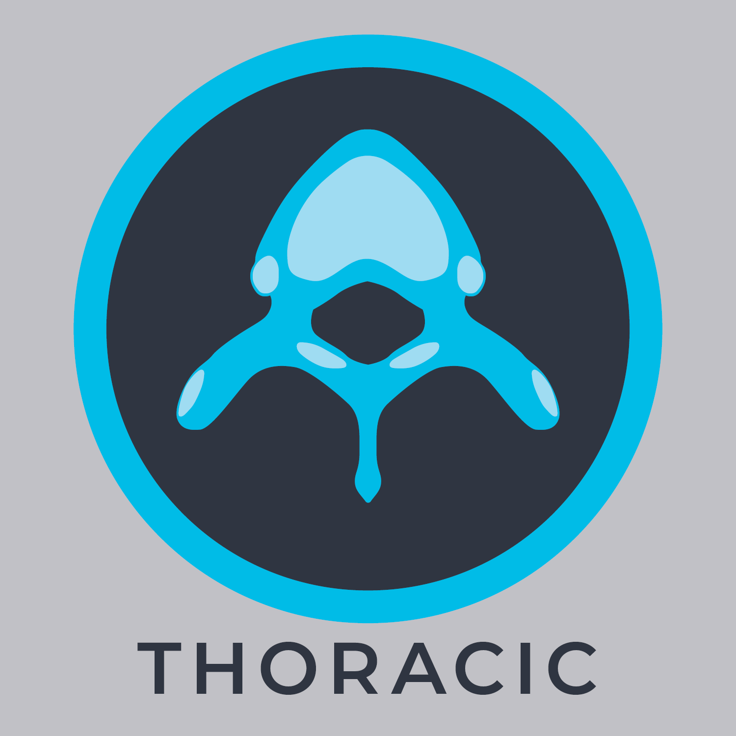 Is Your Spine Fine? - Avala.com