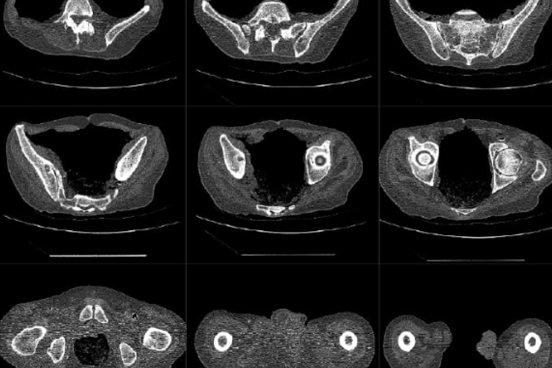 Avala-WebImages-Imaging3 Avala-WebImages-Imaging3