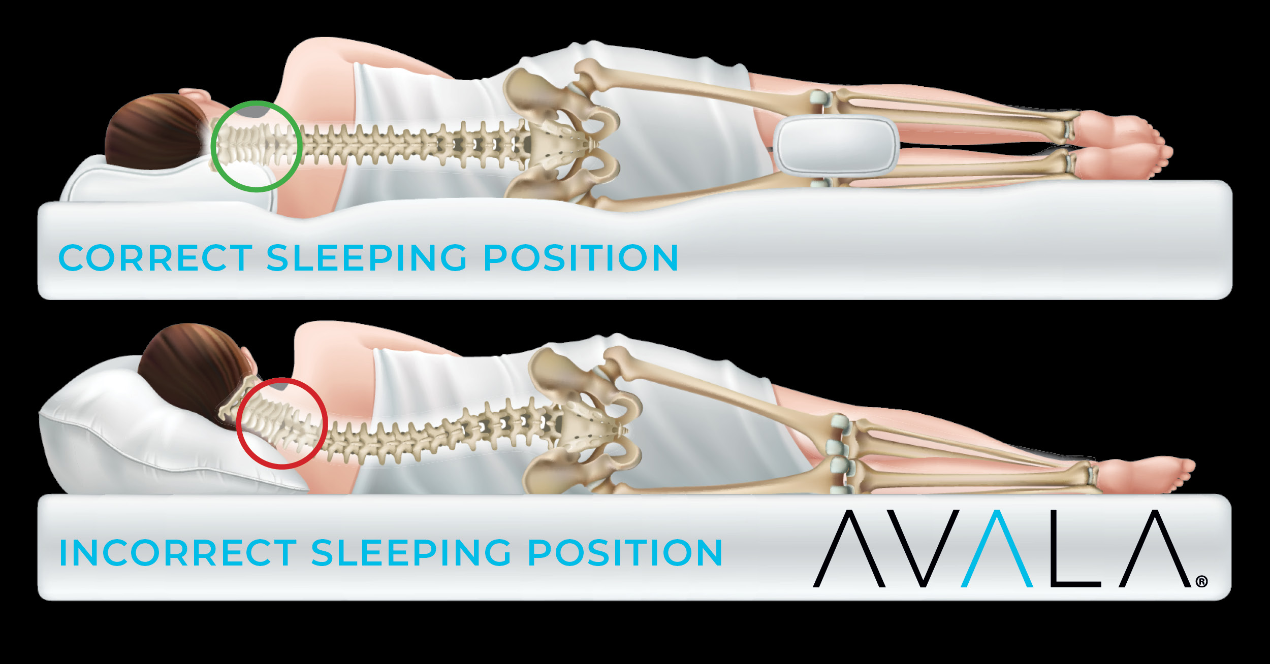 Spine Health - Sleeping Positions