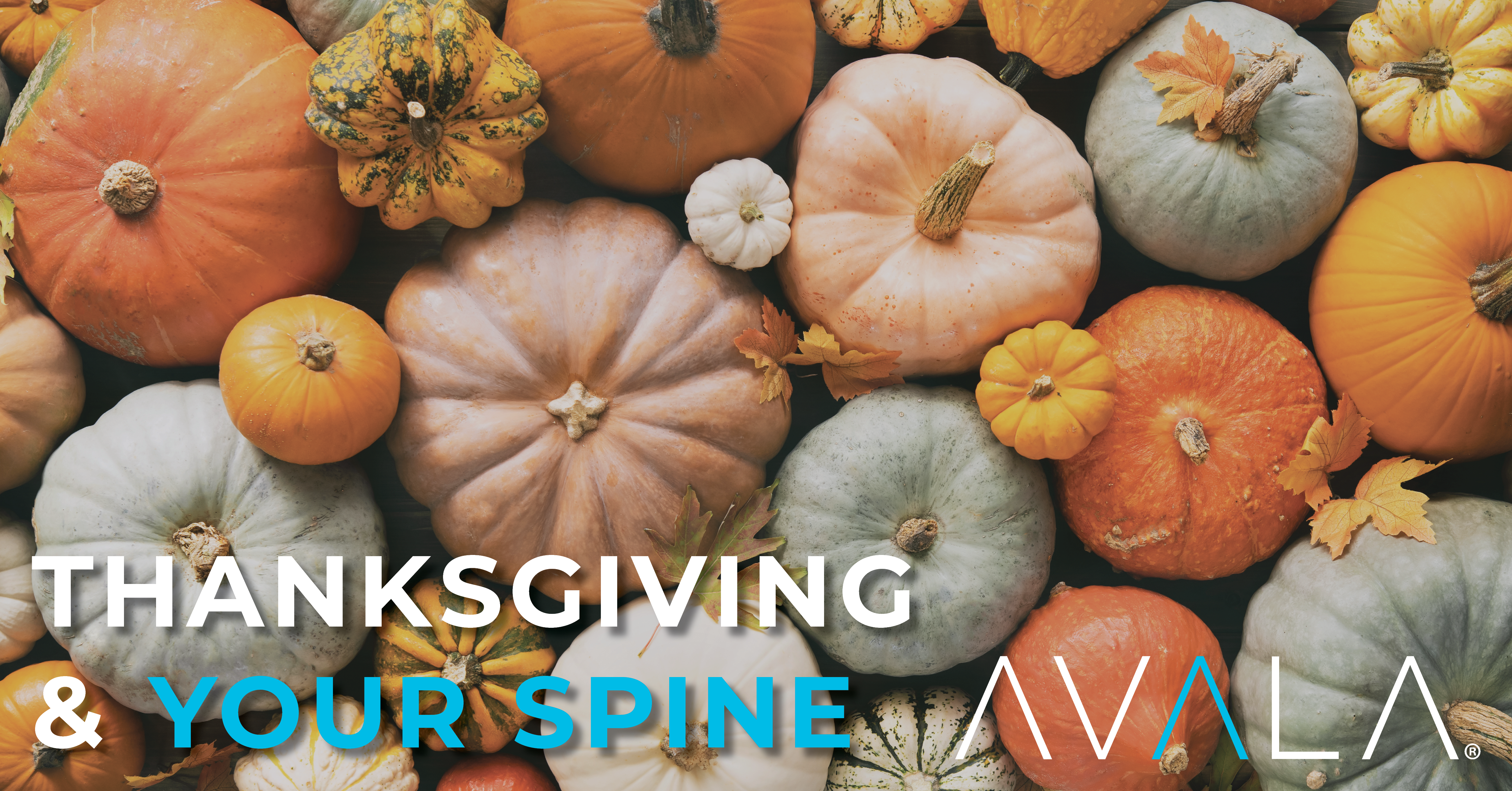 Thanksgiving Spine - Blog Post - AVALA 2023