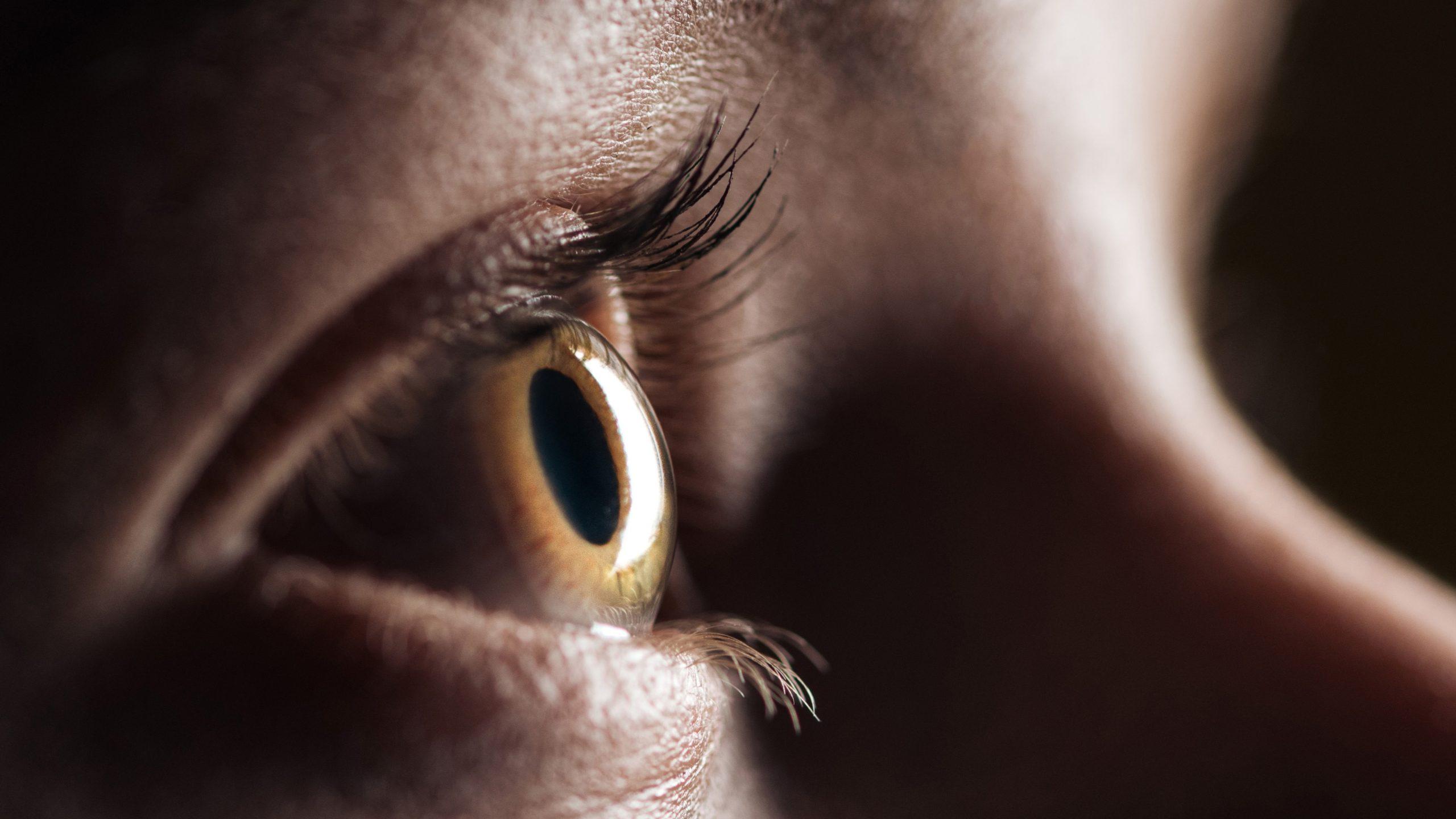 AdobeStock_280164805