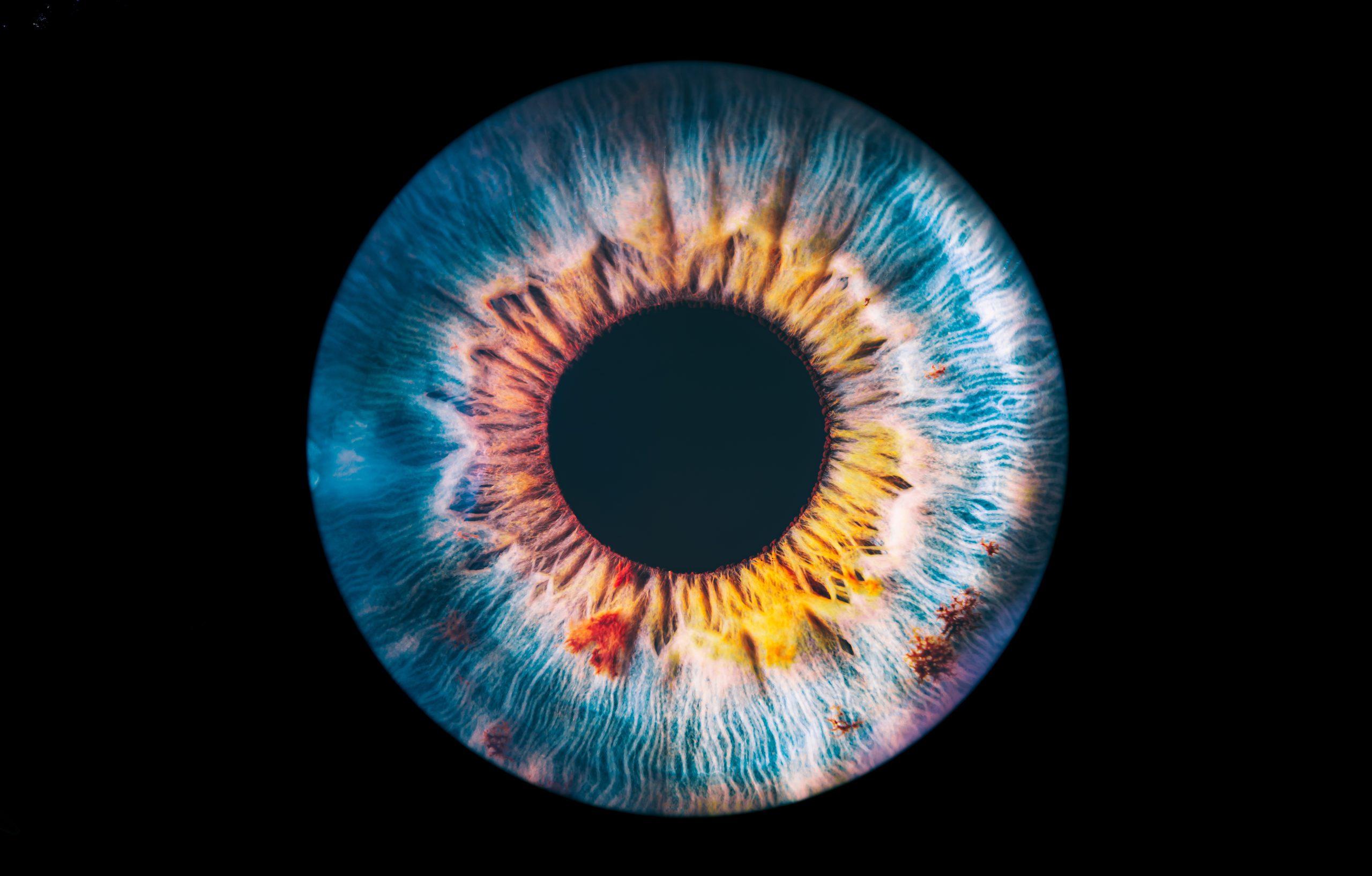 RETINA SURGERY